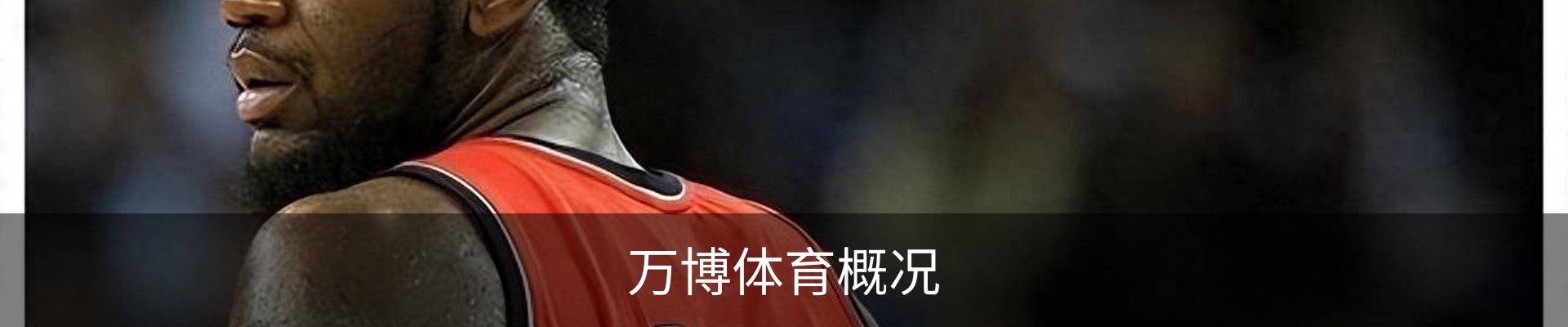 内页banner